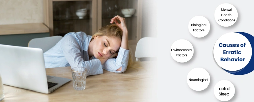 what causes erratic behavior