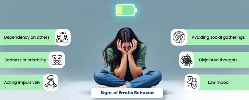 erratic behavior meaning
