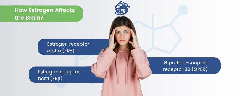 does estrogen make you moody