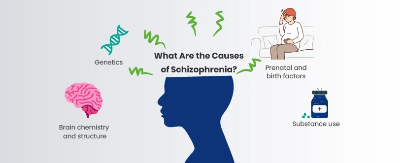 What Are the Causes of Schizophrenia