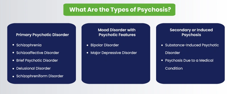 Types of psychosis infographic - primary, mood-related, and secondary