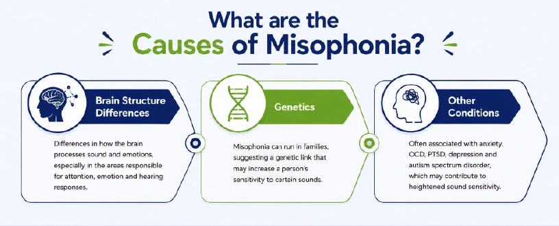 What are the Causes of Misophonia